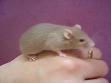 mon lulu!!!!