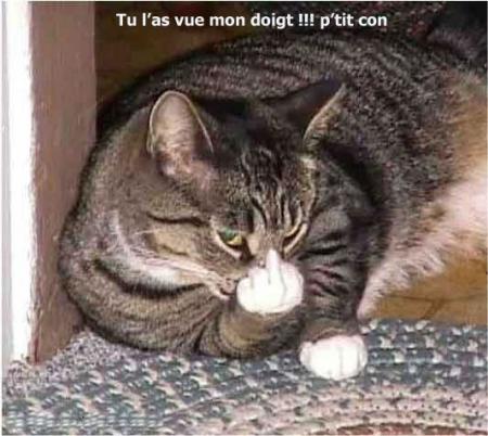 mdrrr