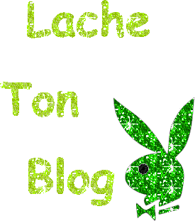lache tn blog!!